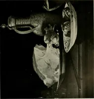 Picture 151 of 603 from Deutsches barock und rokoko : herausgegeben im anschluss an die Jahrhundert-ausstellung deutscher kunst 1650-1800, Darmstadt, 1914 (1914), leaf 193