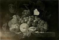 Picture 171 of 603 from Deutsches barock und rokoko : herausgegeben im anschluss an die Jahrhundert-ausstellung deutscher kunst 1650-1800, Darmstadt, 1914 (1914), leaf 206