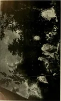 An illustration from Deutsches barock und rokoko : herausgegeben im anschluss an die Jahrhundert-ausstellung deutscher kunst 1650-1800, Darmstadt, 1914 (1914)