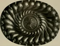 Picture 580 of 603 from Deutsches barock und rokoko : herausgegeben im anschluss an die Jahrhundert-ausstellung deutscher kunst 1650-1800, Darmstadt, 1914 (1914), leaf 489