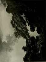 An illustration from Deutsches barock und rokoko : herausgegeben im anschluss an die Jahrhundert-ausstellung deutscher kunst 1650-1800, Darmstadt, 1914 (1914)