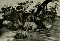 An illustration from Deutsches barock und rokoko : herausgegeben im anschluss an die Jahrhundert-ausstellung deutscher kunst 1650-1800, Darmstadt, 1914 (1914)