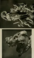 Picture 433 of 613 from Deutsches barock und rokoko : herausgegeben im anschluss an die Jahrhundert-ausstellung deutscher kunst 1650-1800, Darmstadt, 1914 (1914), leaf 403