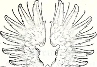 An illustration from Deutsches Geschlechterbuch (Genealogisches Handbuch bürgerlicher Familien.) (1889)