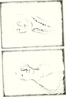 An illustration from Deutsches Geschlechterbuch (Genealogisches Handbuch bürgerlicher Familien.) (1889)