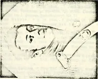 An illustration from Deutsches Geschlechterbuch (Genealogisches Handbuch bürgerlicher Familien.) (1889)