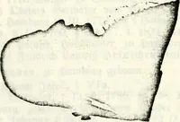 An illustration from Deutsches Geschlechterbuch (Genealogisches Handbuch bürgerlicher Familien.) (1889)