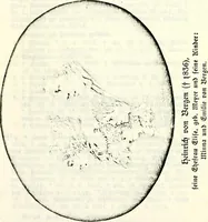 Picture 13 of 47 from Deutsches Geschlechterbuch (Genealogisches Handbuch bürgerlicher Familien.) (1889), leaf 195
