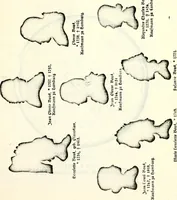 Picture 26 of 47 from Deutsches Geschlechterbuch (Genealogisches Handbuch bürgerlicher Familien.) (1889), leaf 383