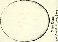 Picture 28 of 47 from Deutsches Geschlechterbuch (Genealogisches Handbuch bürgerlicher Familien.) (1889), leaf 391