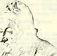 An illustration from Deutsches Geschlechterbuch (Genealogisches Handbuch bürgerlicher Familien.) (1889)