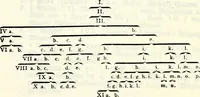 An illustration from Deutsches Geschlechterbuch (Genealogisches Handbuch bürgerlicher Familien.) (1889)