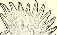 An illustration from Deutsches Geschlechterbuch (Genealogisches Handbuch bürgerlicher Familien.) (1889)