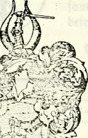 Picture 18 of 20 from Deutsches Geschlechterbuch (Genealogisches Handbuch bürgerlicher Familien.) (1889), leaf 773