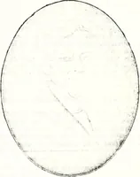 An illustration from Deutsches Geschlechterbuch (Genealogisches Handbuch bürgerlicher Familien.) (1889)