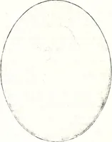 An illustration from Deutsches Geschlechterbuch (Genealogisches Handbuch bürgerlicher Familien.) (1889)