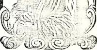 An illustration from Deutsches Geschlechterbuch (Genealogisches Handbuch bürgerlicher Familien.) (1889)