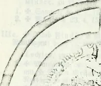 An illustration from Deutsches Geschlechterbuch (Genealogisches Handbuch bürgerlicher Familien.) (1889)