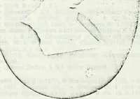 An illustration from Deutsches Geschlechterbuch (Genealogisches Handbuch bürgerlicher Familien.) (1889)