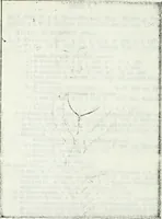 An illustration from Deutsches Geschlechterbuch (Genealogisches Handbuch bürgerlicher Familien.) (1889)