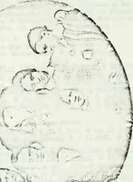 An illustration from Deutsches Geschlechterbuch (Genealogisches Handbuch bürgerlicher Familien.) (1889)