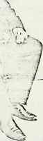 An illustration from Deutsches Geschlechterbuch (Genealogisches Handbuch bürgerlicher Familien.) (1889)