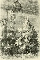 Picture 68 of 112 from Deutsche Zeichner von der Gotik bis zum Rokoko (1921), leaf 125