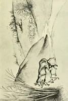 An illustration from Deutsche Zeichner von der Gotik bis zum Rokoko (1921)