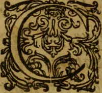 An illustration from Deux traitez de ce tems : le 1. est de l'impossibilité & impertinence du Concile, tel qu'il a esté demandé par requeste au roy, & des inconveniens qui en pourroient arriver : le 2. est vn discours sur l'histoire de l'Eglise ancienne, et estat des gaules, écrite par S. Gregoire E. de Tours, où sont decidees les principales controverses par les peres de quatre or six premiers siecles (1614)