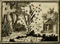 An illustration from De veldgezangen van Thyrsis : gesierd met toegepaste zinneminnebeelden (1702)