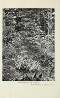 Picture 2 of 6 from The development of Rhodesia from a geographical standpoint (1916), leaf 10