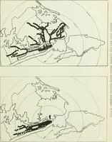 An illustration from Development and present status of city planning in New York City (1914)