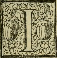 An illustration from De' veri precetti della pittvra, libri tre (1587)