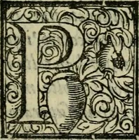 An illustration from De' veri precetti della pittvra, libri tre (1587)