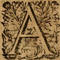 An illustration from De Vesuviano incendio nuntius (1639)