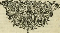 An illustration from De veteris numismatis potentia et qualitate lucubratio, occasione rubricae codicis de eodem argumento; sive, Cognitio totius rei numariae ad intelligentiam juris accommodata; accessit Dissertatio Juridica de numo unico, cum multis aliis cognitioni numorum conducentibus (1701)