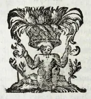 Picture 10 of 23 from De veterum acclamationibus et plausu libri septem Francisci Bernardini Ferrarii .. (1627), leaf 148