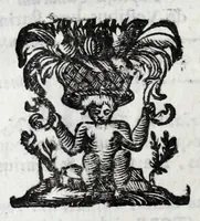 Picture 15 of 23 from De veterum acclamationibus et plausu libri septem Francisci Bernardini Ferrarii .. (1627), leaf 208