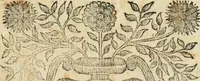 Picture 1 of 4 from De Virginis Purificatione carmen: Illustrissimo Domino Domino Fabio Feroni Bellavitae Marchioni (1683), leaf 2