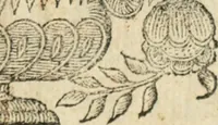 An illustration from De Virginis Purificatione carmen: Illustrissimo Domino Domino Fabio Feroni Bellavitae Marchioni (1683)