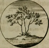 An illustration from Devises et emblemes anciennes & modernes, tirées des plus celebres auteurs, oder, Emblematische Gemüths-Vergnügung : bey Betrachtung siben hundert und funffzehen der curieusesten und ergötzlichen Sinn-Bildern, mit ihren zuständigen teutsch-lateinisch-französisch- und italianischen Beyschrifften (1695)