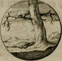 An illustration from Devises et emblemes anciennes & modernes, tirées des plus celebres auteurs, oder, Emblematische Gemüths-Vergnügung : bey Betrachtung siben hundert und funffzehen der curieusesten und ergötzlichen Sinn-Bildern, mit ihren zuständigen teutsch-lateinisch-französisch- und italianischen Beyschrifften (1695)