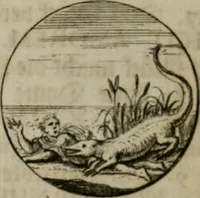An illustration from Devises et emblemes anciennes & modernes, tirées des plus celebres auteurs, oder, Emblematische Gemüths-Vergnügung : bey Betrachtung siben hundert und funffzehen der curieusesten und ergötzlichen Sinn-Bildern, mit ihren zuständigen teutsch-lateinisch-französisch- und italianischen Beyschrifften (1695)