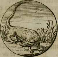 An illustration from Devises et emblemes anciennes & modernes, tirées des plus celebres auteurs, oder, Emblematische Gemüths-Vergnügung : bey Betrachtung siben hundert und funffzehen der curieusesten und ergötzlichen Sinn-Bildern, mit ihren zuständigen teutsch-lateinisch-französisch- und italianischen Beyschrifften (1695)