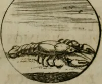 An illustration from Devises et emblemes anciennes & modernes, tirées des plus celebres auteurs, oder, Emblematische Gemüths-Vergnügung : bey Betrachtung siben hundert und funffzehen der curieusesten und ergötzlichen Sinn-Bildern, mit ihren zuständigen teutsch-lateinisch-französisch- und italianischen Beyschrifften (1695)