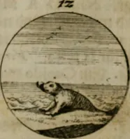 An illustration from Devises et emblemes anciennes & modernes, tirées des plus celebres auteurs, oder, Emblematische Gemüths-Vergnügung : bey Betrachtung siben hundert und funffzehen der curieusesten und ergötzlichen Sinn-Bildern, mit ihren zuständigen teutsch-lateinisch-französisch- und italianischen Beyschrifften (1695)