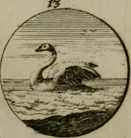 An illustration from Devises et emblemes anciennes & modernes, tirées des plus celebres auteurs, oder, Emblematische Gemüths-Vergnügung : bey Betrachtung siben hundert und funffzehen der curieusesten und ergötzlichen Sinn-Bildern, mit ihren zuständigen teutsch-lateinisch-französisch- und italianischen Beyschrifften (1695)