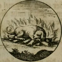 An illustration from Devises et emblemes anciennes & modernes, tirées des plus celebres auteurs, oder, Emblematische Gemüths-Vergnügung : bey Betrachtung siben hundert und funffzehen der curieusesten und ergötzlichen Sinn-Bildern, mit ihren zuständigen teutsch-lateinisch-französisch- und italianischen Beyschrifften (1695)