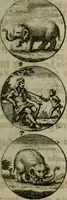 An illustration from Devises et emblemes anciennes & modernes, tirées des plus celebres auteurs, oder, Emblematische Gemüths-Vergnügung : bey Betrachtung siben hundert und funffzehen der curieusesten und ergötzlichen Sinn-Bildern, mit ihren zuständigen teutsch-lateinisch-französisch- und italianischen Beyschrifften (1695)