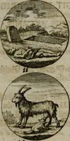 An illustration from Devises et emblemes anciennes & modernes, tirées des plus celebres auteurs, oder, Emblematische Gemüths-Vergnügung : bey Betrachtung siben hundert und funffzehen der curieusesten und ergötzlichen Sinn-Bildern, mit ihren zuständigen teutsch-lateinisch-französisch- und italianischen Beyschrifften (1695)